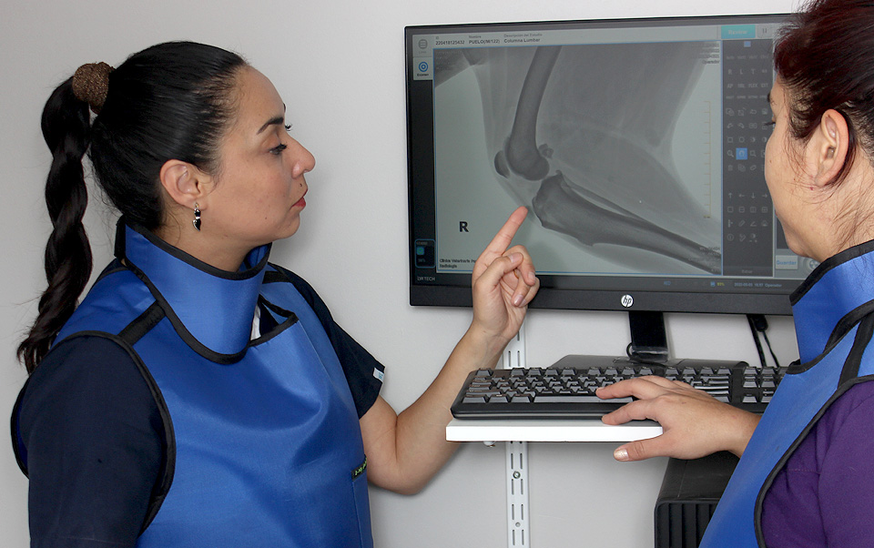 Radiografías